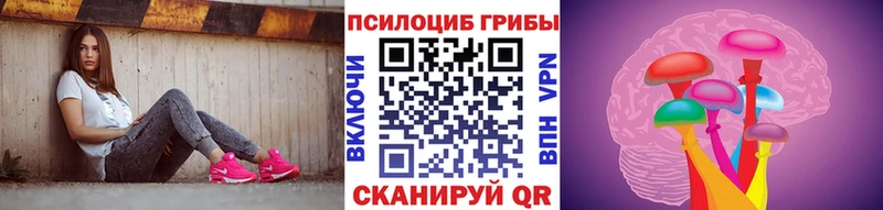 сколько стоит  Волгореченск  Псилоцибиновые грибы мицелий 